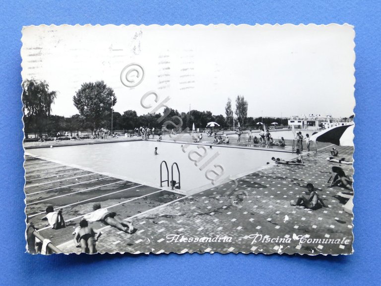 Cartolina Alessandria - Piscina comunale - 1956