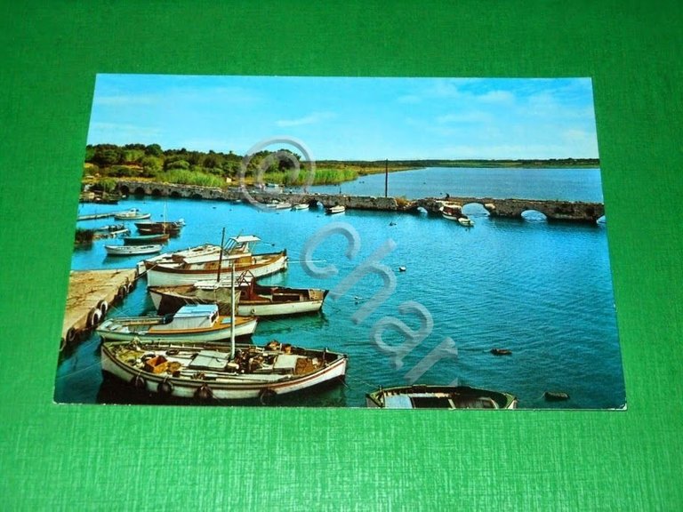 Cartolina Alghero Fertilia Riviera del Corallo Ponte Romano sullo Stagno …