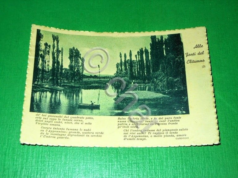 Cartolina Alle Fonti del Clitumno ( Carducci ) - Particolare …