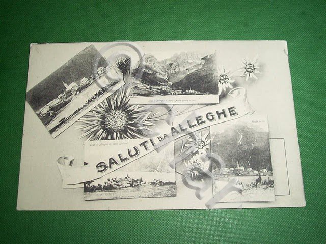 Cartolina Alleghe ( Belluno ) - Vedute diverse 1910 ca | Immagine Gallery 2