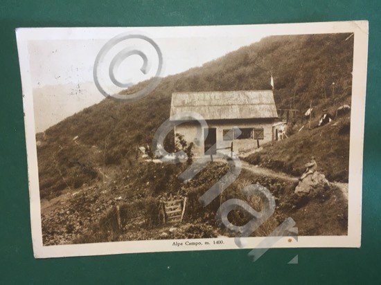 Cartolina Alpe Campo m. 1400 - 1947