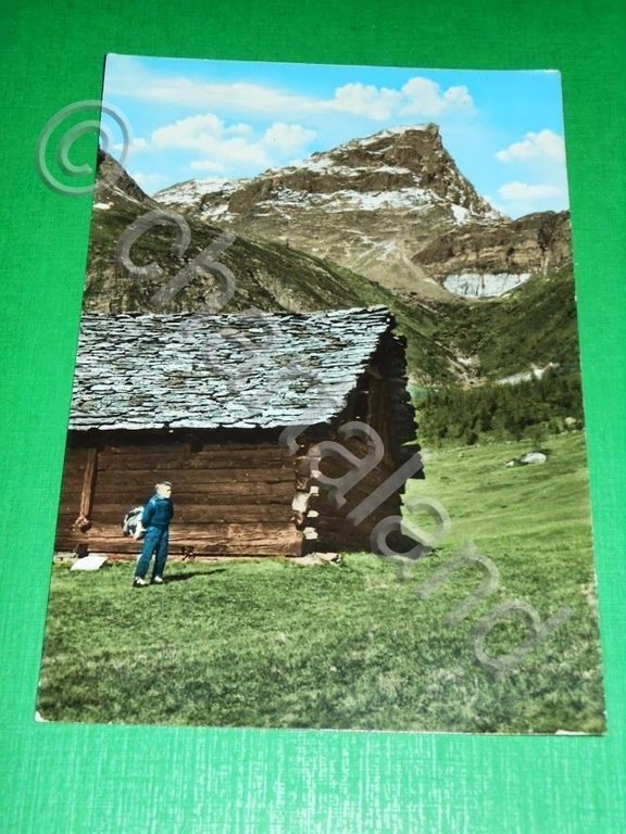 Cartolina Alpe Devero - Cima della Rossa 1961.
