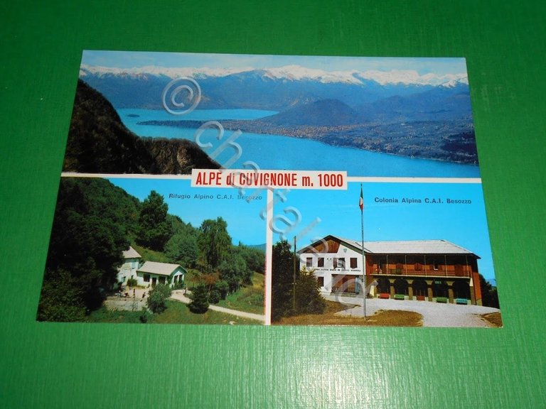 Cartolina Alpe di Cuvignone - Rifugio CAI Besozzo - Colonia …