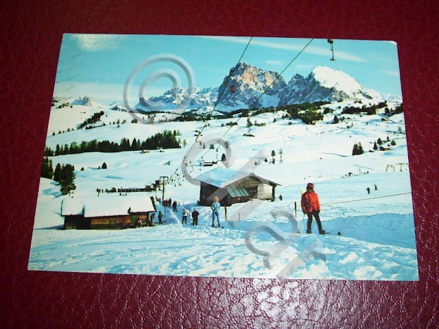 Cartolina Alpe di Siusi - Il Sassolungo 1981