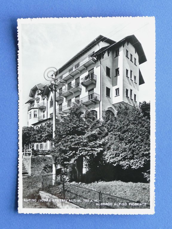 Cartolina Alpino - Stresa - Albergo Alpino Fiorente - 1955 …