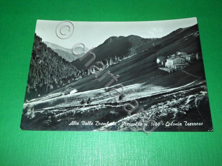 Cartolina Alta Valle Brembana - Mezzoldo - Colonia Trezzese 1957