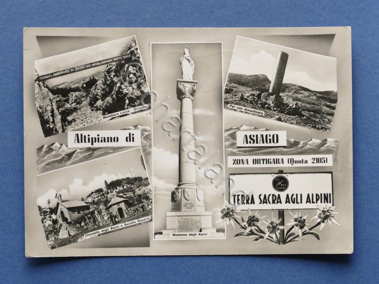 Cartolina Altipiano di Asiago - Varie vedute - 1964