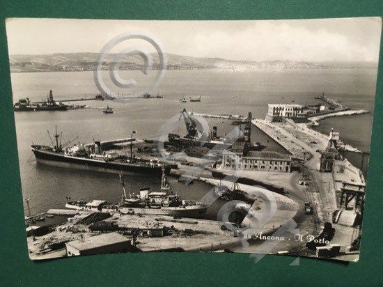 Cartolina Ancona - Il Porto - 1961