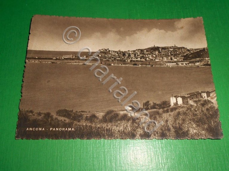 Cartolina Ancona - Panorama 1950 ca.