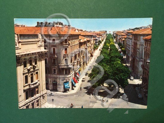 Cartolina Ancona - Viale Della Vittoria - 1962