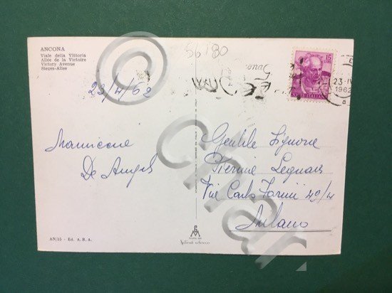 Cartolina Ancona - Viale Della Vittoria - 1962