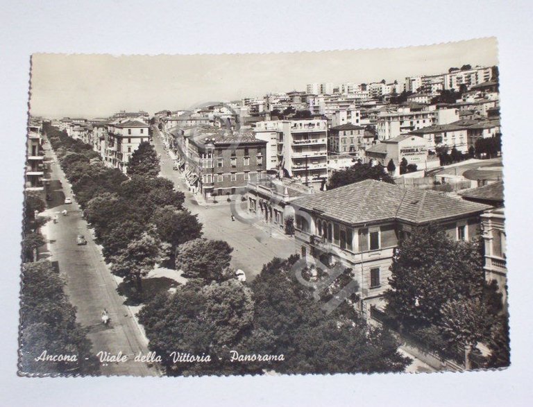 Cartolina Ancona - Viale della Vittoria e panorama 1966