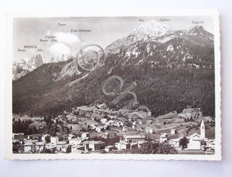 Cartolina Andalo ( Trento ) - Panorama 1964