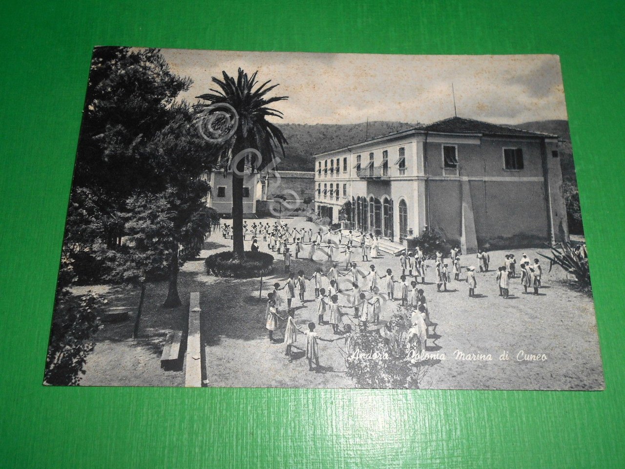 Cartolina Andora - Colonia Marina di Cuneo 1950 ca.