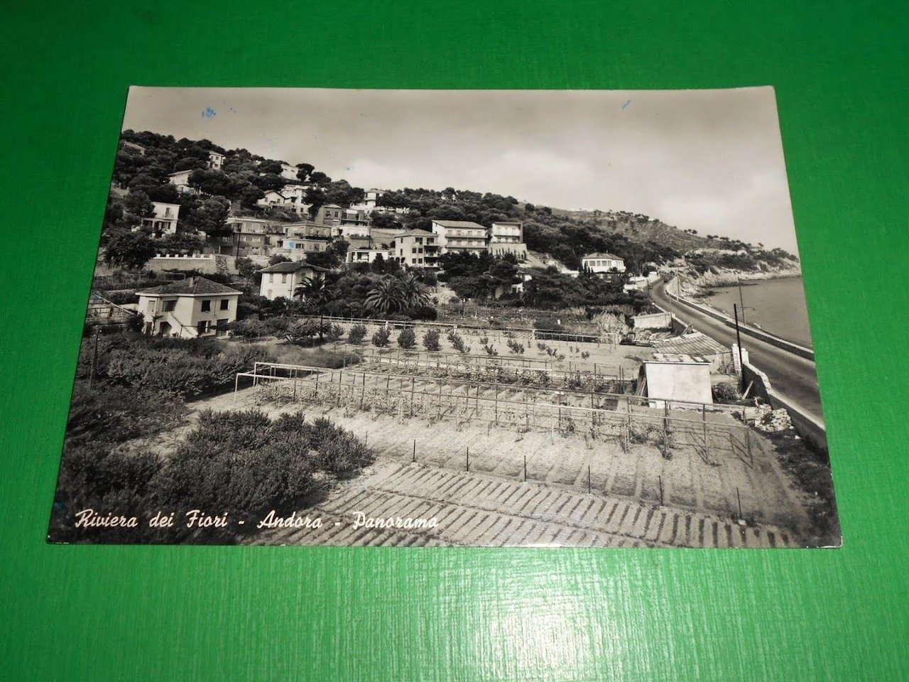 Cartolina Andora - Panorama 1958.