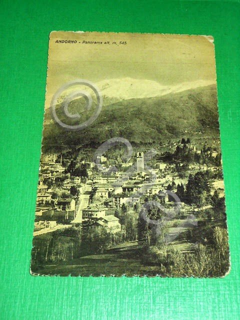 Cartolina Andorno - Panorama 1955