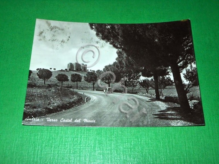 Cartolina Andria - Verso Castel del Monte 1956