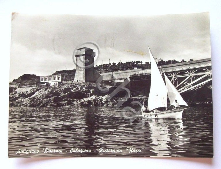 Cartolina Antignano - Calafuria - Ristorante Rossi 1957