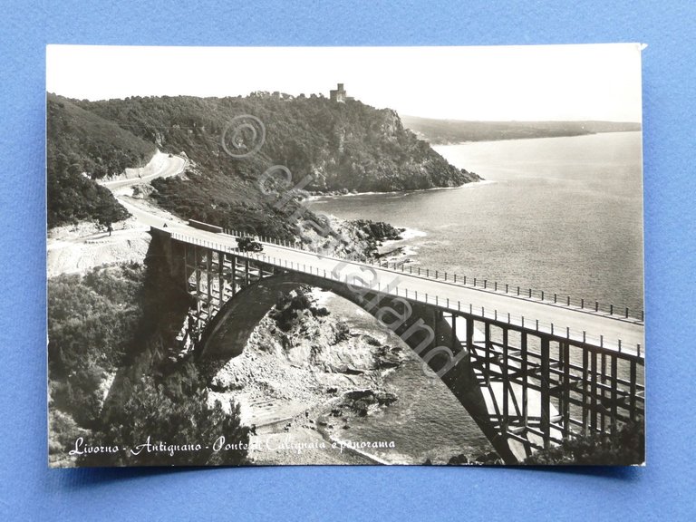 Cartolina Antignano - Ponte di Calignaia e panorama - 1955 …