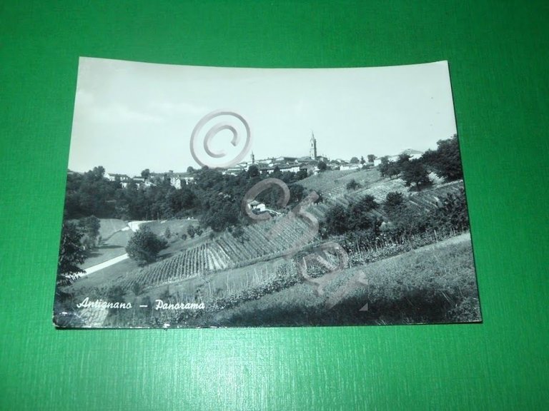 Cartolina Antignano ( Asti ) - Panorama 1968
