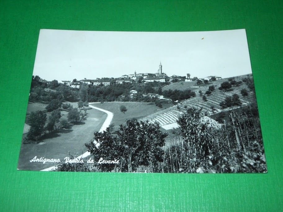 Cartolina Antignano ( Asti ) - Veduta da Levante 1962.