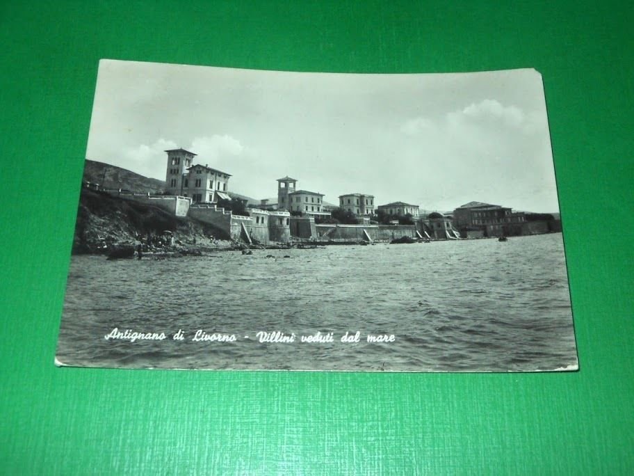 Cartolina Antignano di Livorno - Villini veduti dal mare 1950.