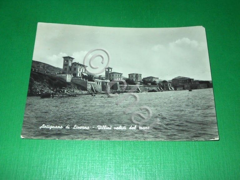Cartolina Antignano di Livorno - Villini veduti dal mare 1950.