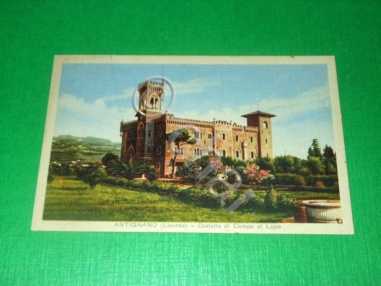 Cartolina Antignano ( Livorno ) - Castello di Campo al …