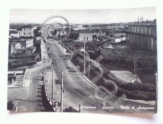 Cartolina Antignano (Livorno) - Viale di Antignano 1956