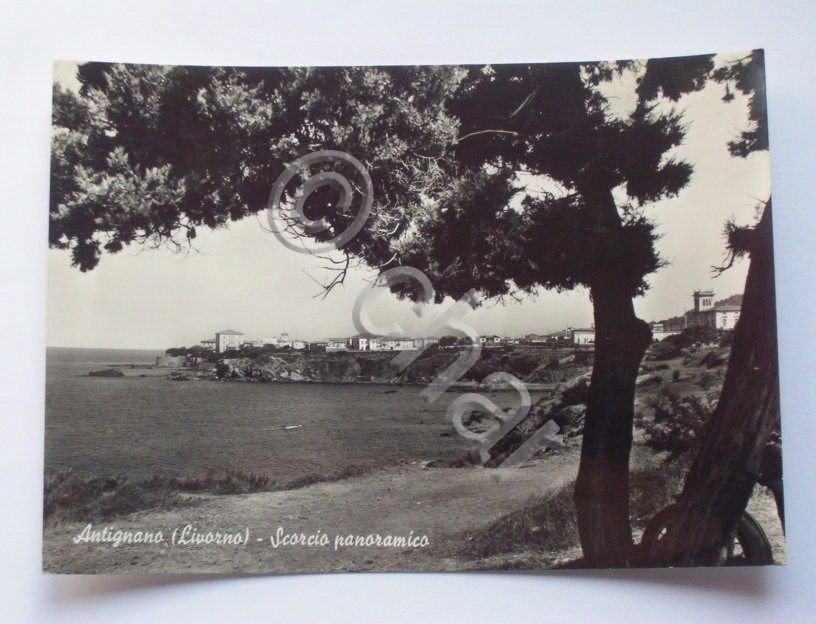 Cartolina Antignano ( Livorno ) Scorcio panoramico 1962