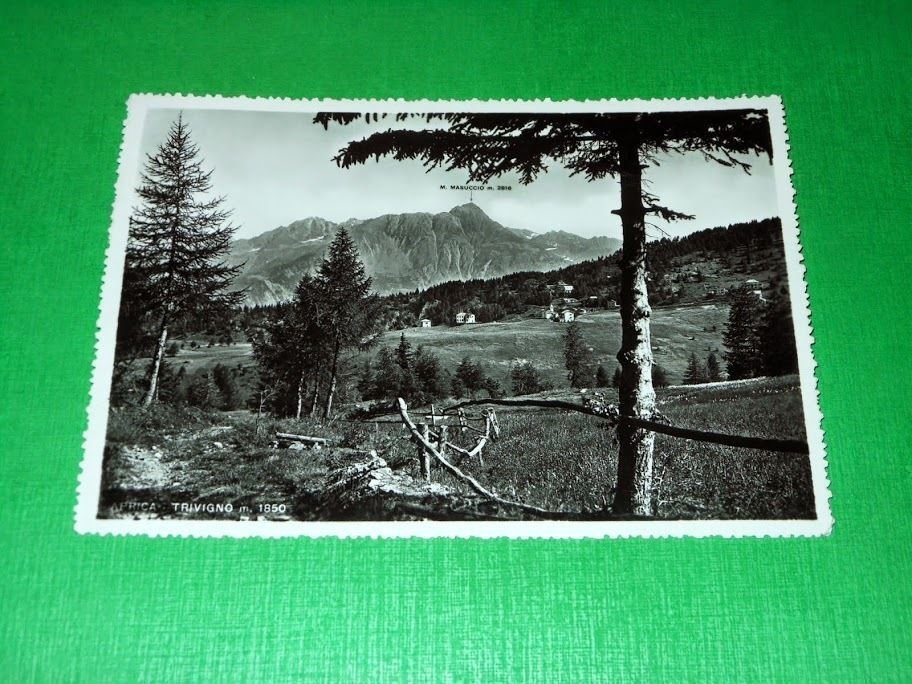 Cartolina Aprica - Trivigno - Panorama 1953.