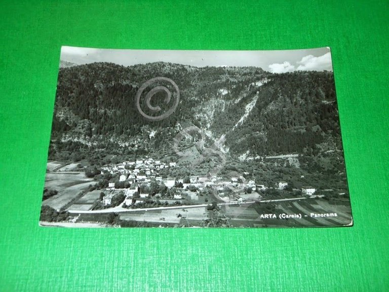 Cartolina Arta ( Carnia ) - Panorama 1951