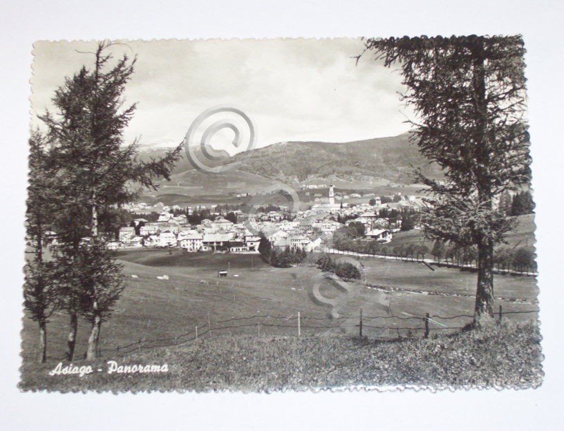 Cartolina Asiago ( Vicenza ) - Panorama 1965.