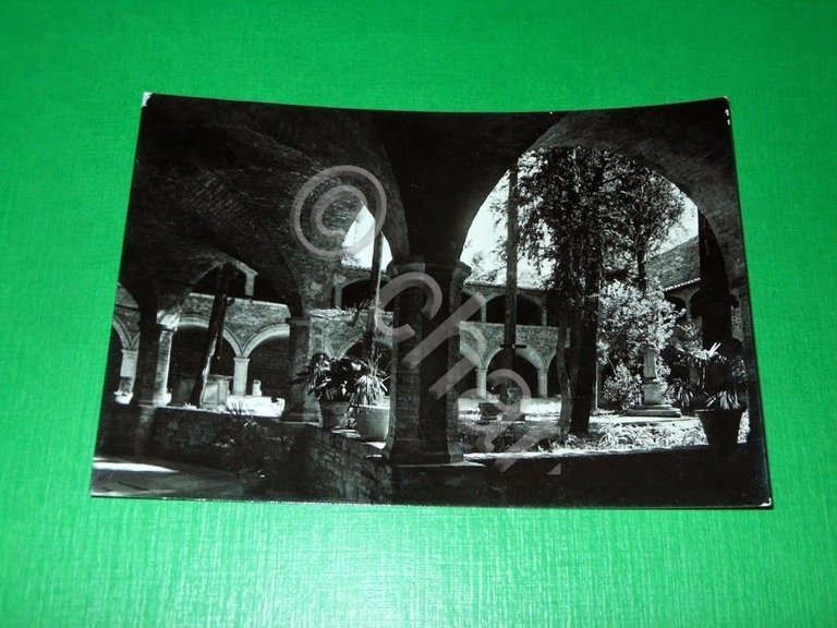 Cartolina Assisi - Basilica di S. Francesco - Antico Cimitero …