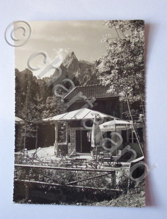 Cartolina Auronzo ( Val da Rin ) - Rifugio Primula …