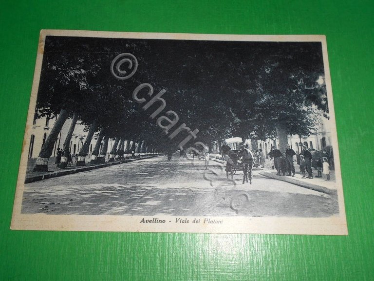 Cartolina Avellino - Viale dei Platani 1941