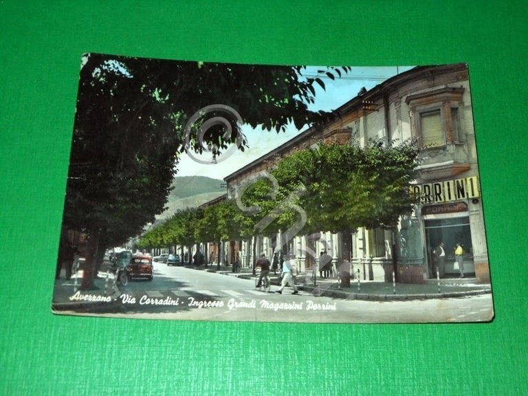 Cartolina Avezzano - Via Corradini - Ingresso Grandi magazzini Porrini … | Immagine Gallery 2