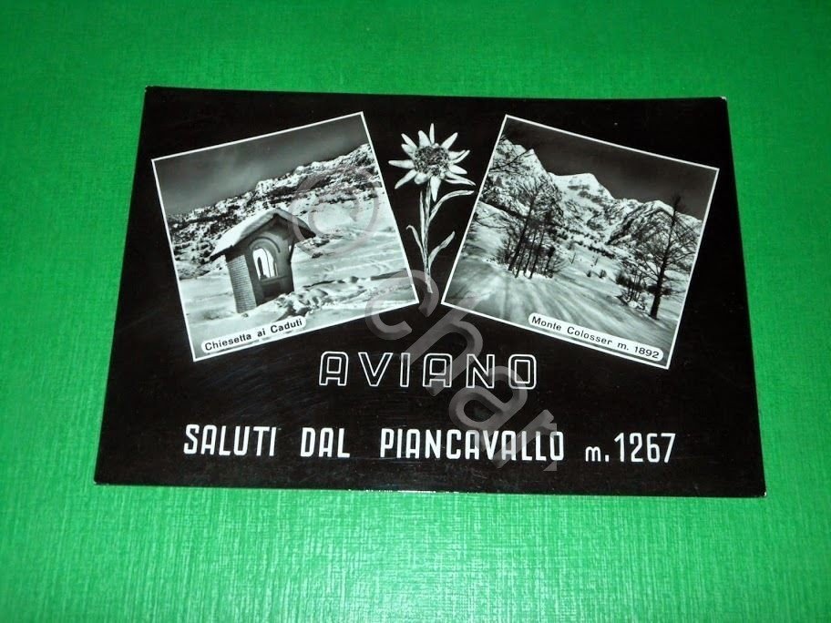 Cartolina Aviano - Saluti dal Piancavallo - Vedute diverse 1955 …
