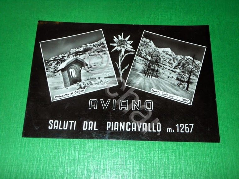 Cartolina Aviano - Saluti dal Piancavallo - Vedute diverse 1959 | Immagine Gallery 2
