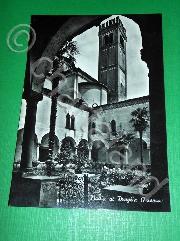 Cartolina Badia di Praglia ( Padova ) - Chiostro botanico …