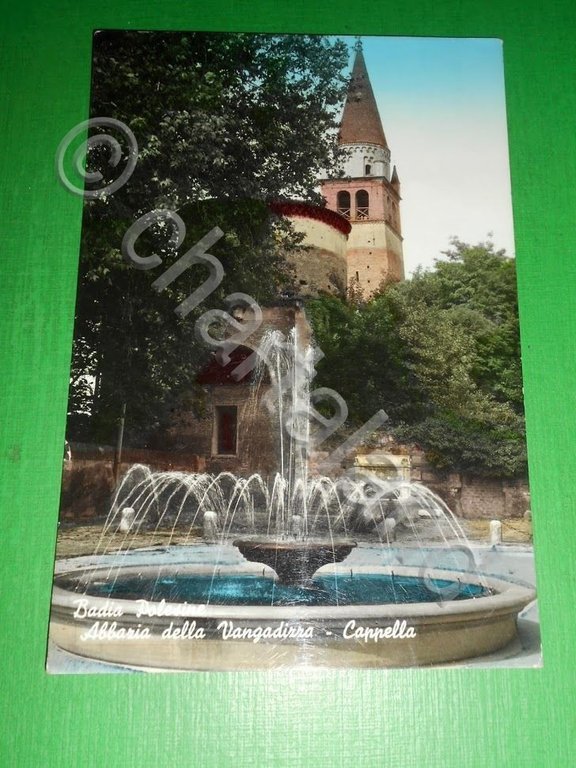 Cartolina Badia Polesine - Abbazia della Vangadizza - Cappella 1963.