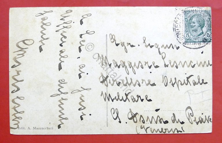 Cartolina Bagni di Montecatini - Viale Verdi - 1917