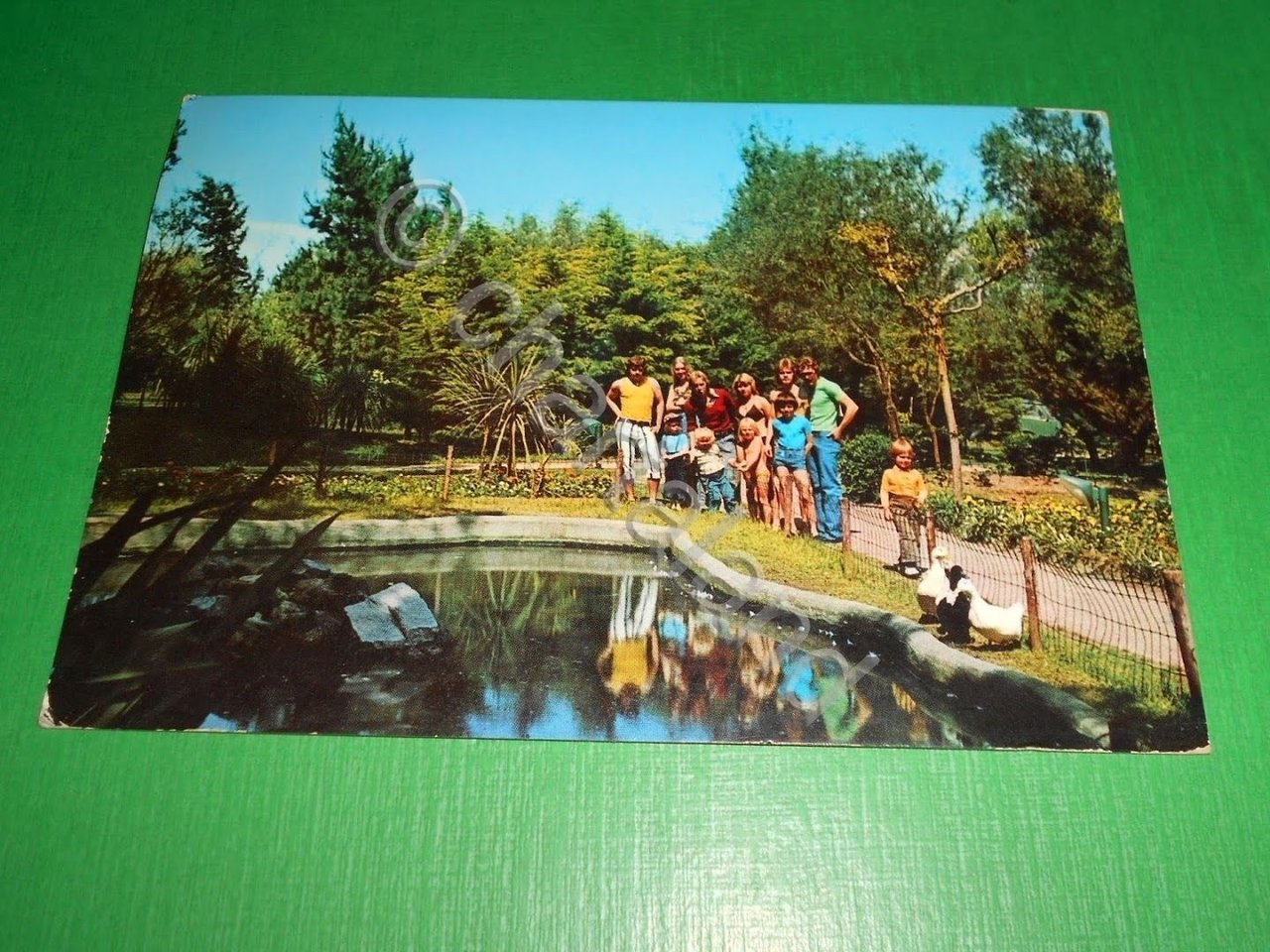 Cartolina Baia Domizia - Villaggio Svedese 1981.