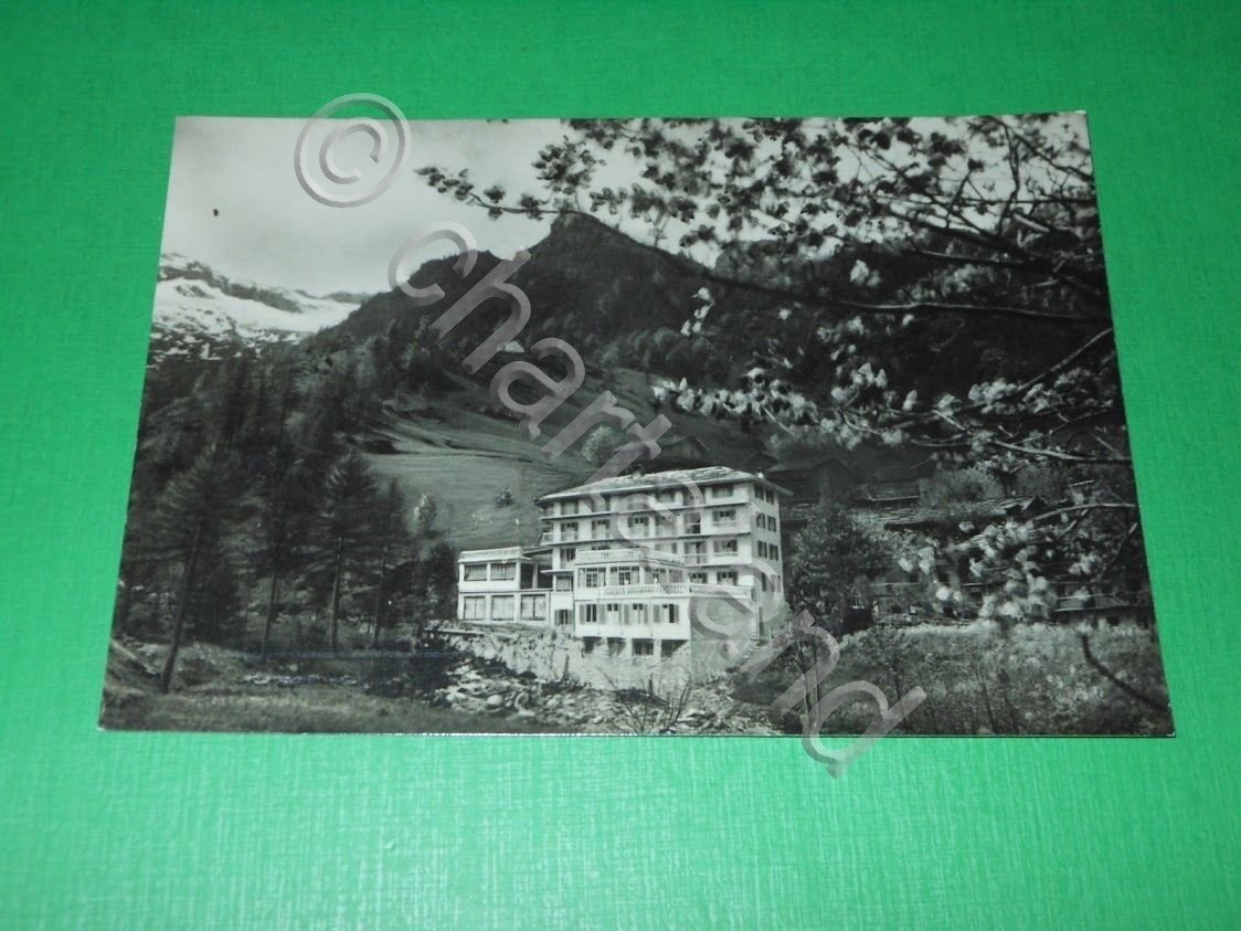 Cartolina Balme frazione Cornetti - Albergo Pinete 1955 ca.