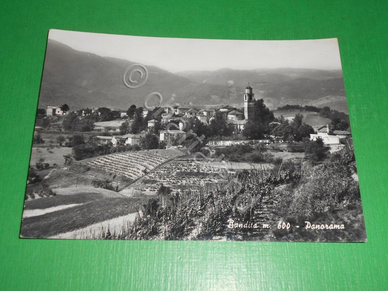 Cartolina Bandita ( Alessandria ) - Panorama 1965.