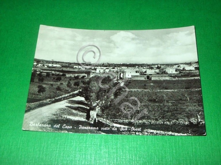 Cartolina Barbarano del Capo - Panorama visto da Sud-Ovest 1965.