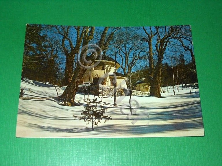 Cartolina Bardineto - Casa del Fungo 1973