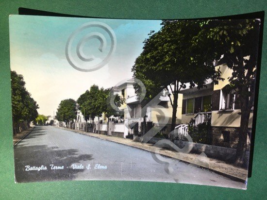 Cartolina Battaglia Terme - Viale S. Elena - 1964