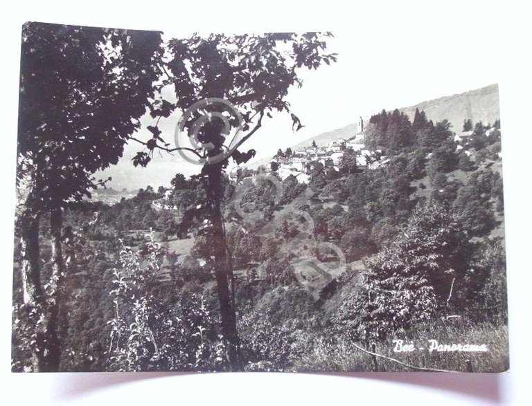 Cartolina Bee - Panorama 1955