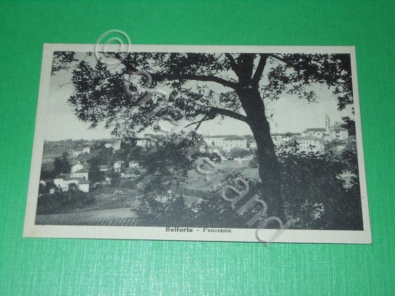Cartolina Belforte ( Alessandria) - Panorama 1940 ca # 1